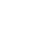 icon1