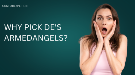 ArmedAngels DE