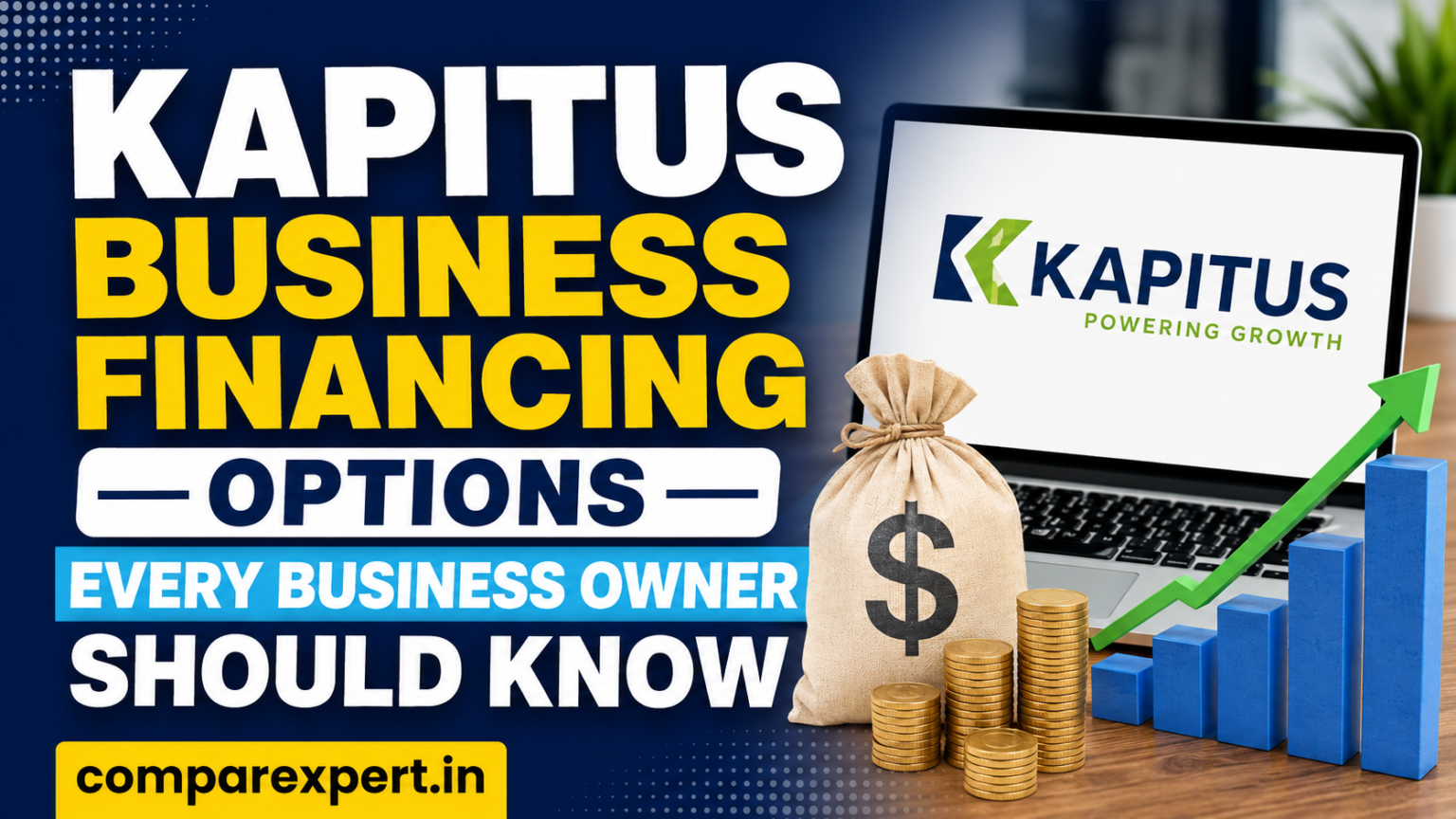 Kapitus Business Financing Options Every Business Owner Should Know