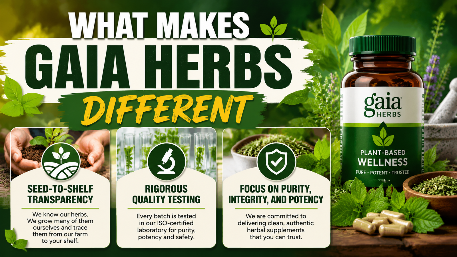 Gaia Herbs