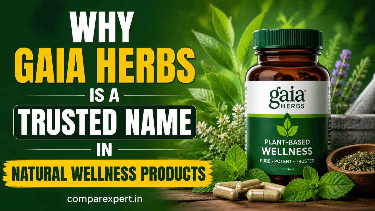 Why Gaia Herbs Is a Trusted Name in Natural Wellness Products